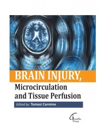 Brain Injury, Microcirculation and Tissue Perfusion